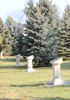 Park Pamięci - widok ogólny