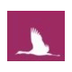 White Crane