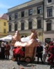 kura miedziana podczas Jarmarku Jagiellońskiego