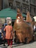 kura miedziana podczas Jarmarku Jagiellońskiego